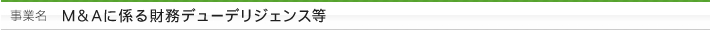 事業名：M＆Aに係る財務デューデリジェンス等